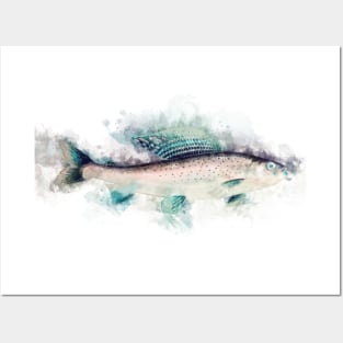 Arctic GRAYLING Watercolor Art for the Fishing Lovers and Anglers Posters and Art